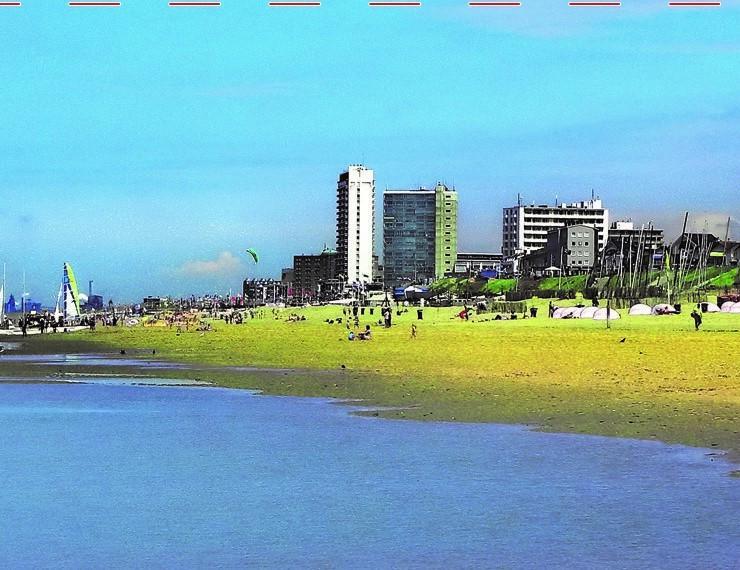 Amsterdam Beach Apartment Зандфорт Экстерьер фото